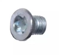 Remy 19024477 Болт