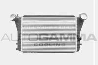Autogamma 103616 Інтеркулер