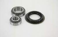 Triscan 853024103 Wheel bearing