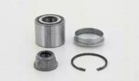 Triscan 853025254 Wheel bearing