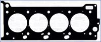 Wilmink Group WG1751613 Прокладка головки блоку циліндрів Wilmink Group WG1751613 Прокладка головки блоку циліндрів