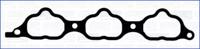 Wilmink Group WG1751792 Gasket graphite