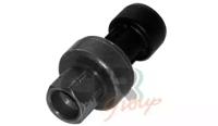 CTR-SRL 1205399 Valve assy-expa
