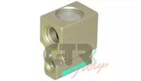 CTR-SRL 1212074 Valve assy-expa