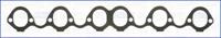 Ajusa 13020100 Gasket graphite Ajusa 13020100 Gasket graphite