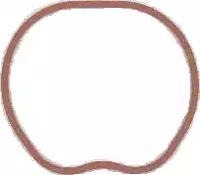 Elring 025.260 Прокладка впускного колектора