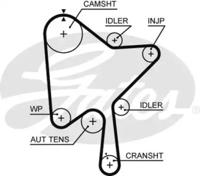 Gates 5686XS Belt timing