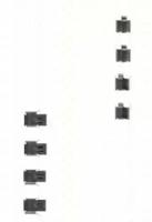 Triscan 8105421585 Spring set disc brake