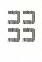 Triscan 8105431624 Spring set disc brake