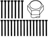 Payen HBS016 Болт головки блоку циліндрів