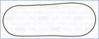 Wilmink Group WG1449969 Прокладка кришки клапанів Wilmink Group WG1449969 Прокладка кришки клапанів