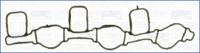 Wilmink Group WG1451075 Gasket graphite