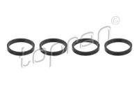 Topran 110 500 Gasket graphite Topran 110 500 Gasket graphite