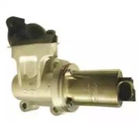 Wilmink Group WG1015287 EGR valve