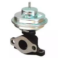 Wilmink Group WG1015289 EGR valve