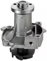 Denckermann A310199P Water pump