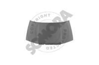 Somora 290308 Hood