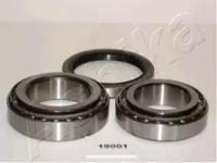 Ashika 44-19001 Wheel bearing