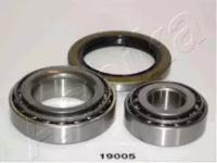Ashika 44-19005 Wheel bearing