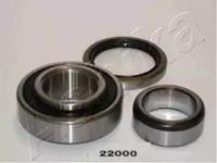 Ashika 44-22000 Wheel bearing