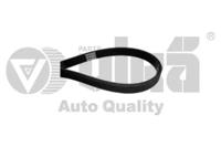 Vika 91450860801 Belt v