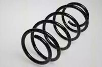 Triscan 875029053 Пружина подвески передняя