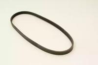 Klaxcar France 4PK788 Belt v