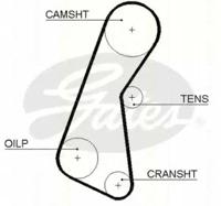 Triscan 86455121 Belt timing
