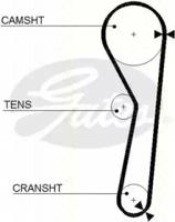 Triscan 86455316 Ремень ГРМ