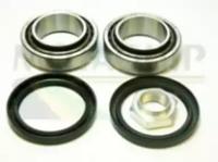 Motaquip VBK407 Wheel bearing Motaquip VBK407 Wheel bearing