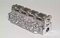 Wilmink Group WG1010978 Головка блоку циліндрів