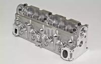 Wilmink Group WG1011025 Головка блоку циліндрів Wilmink Group WG1011025 Головка блоку циліндрів