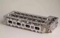 Wilmink Group WG1011032 Головка блока цилиндров