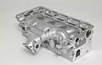 Wilmink Group WG1011079 Головка блока цилиндров Wilmink Group WG1011079 Головка блока цилиндров