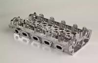 Wilmink Group WG1011143 Головка блоку циліндрів Wilmink Group WG1011143 Головка блоку циліндрів