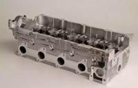 Wilmink Group WG1011149 Головка блоку циліндрів