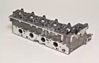 Wilmink Group WG1011302 Головка блока цилиндров