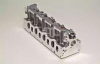 Wilmink Group WG1011381 Головка блоку циліндрів