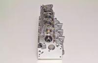 Wilmink Group WG1011383 Головка блоку циліндрів