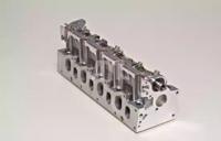 Wilmink Group WG1011387 Головка блоку циліндрів