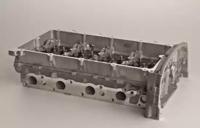 Wilmink Group WG1011455 Головка блоку циліндрів