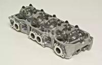 Wilmink Group WG1011521 Головка блока цилиндров