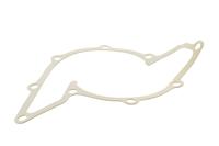 Vaico V10-50055-1 Water pump