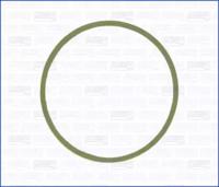 Wilmink Group WG1163728 Прокладка колектора