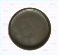 Wilmink Group WG1158379 Сальник розподільного вала