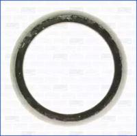 Wilmink Group WG1158450 Прокладка труби вихлопного газу Wilmink Group WG1158450 Прокладка труби вихлопного газу