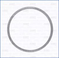 Wilmink Group WG1158529 Прокладка труби вихлопного газу Wilmink Group WG1158529 Прокладка труби вихлопного газу