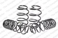 Lesjofors 4566740 Pro kit sprezyny eibach