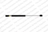 Lesjofors 8095006 Амортизатор капота