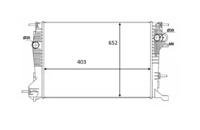 Wilmink Group WG1723439 Радіатор охолодження двигуна